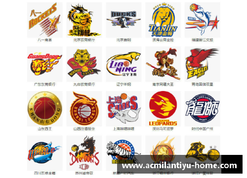 NBA球队全貌：标志与队名揭秘