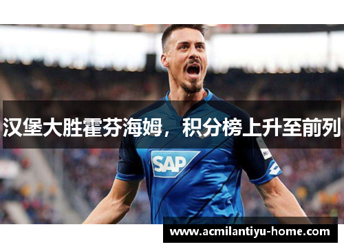 汉堡大胜霍芬海姆，积分榜上升至前列