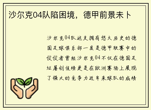 沙尔克04队陷困境，德甲前景未卜