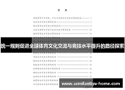 统一规则促进全球体育文化交流与竞技水平提升的路径探索